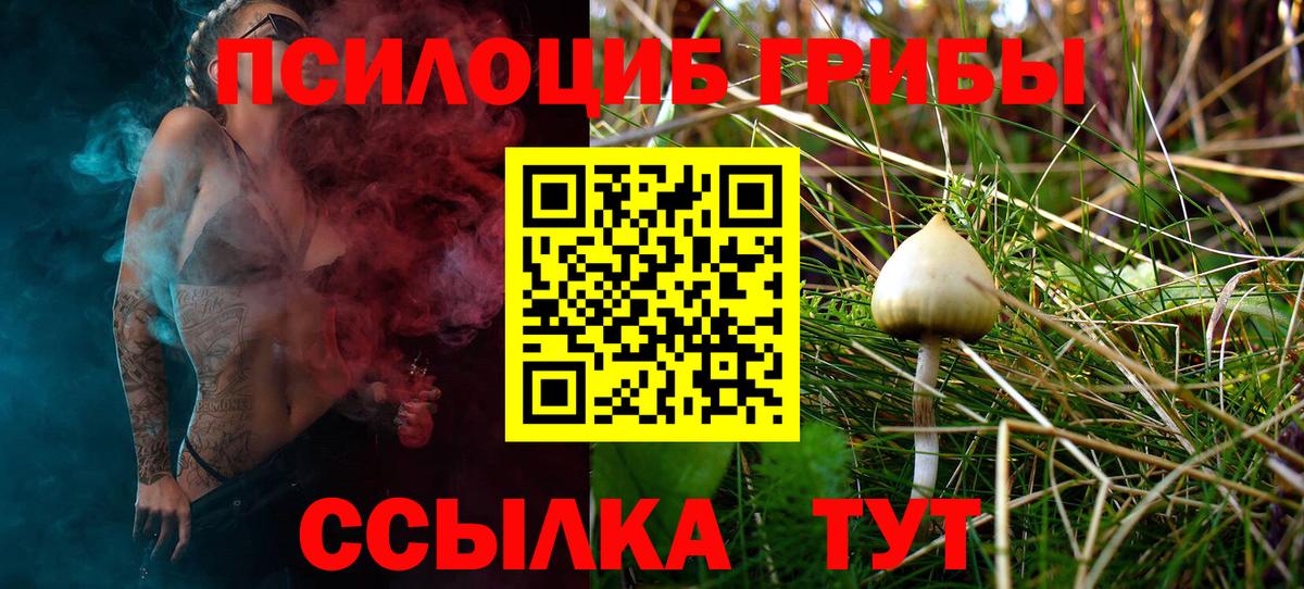 Галлюциногенные грибы прущие грибы Кимры